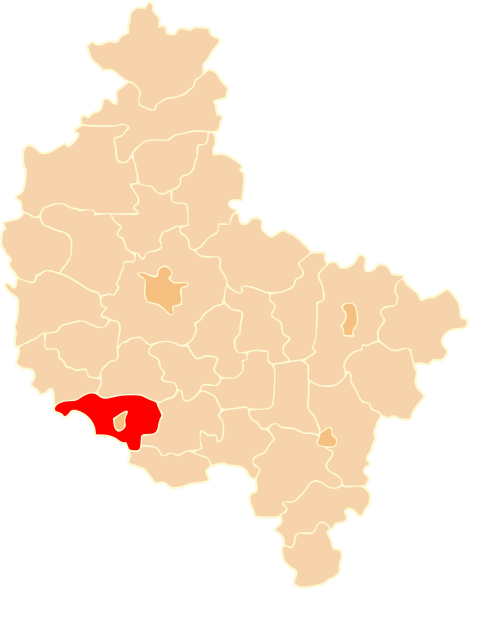 Leszno County
